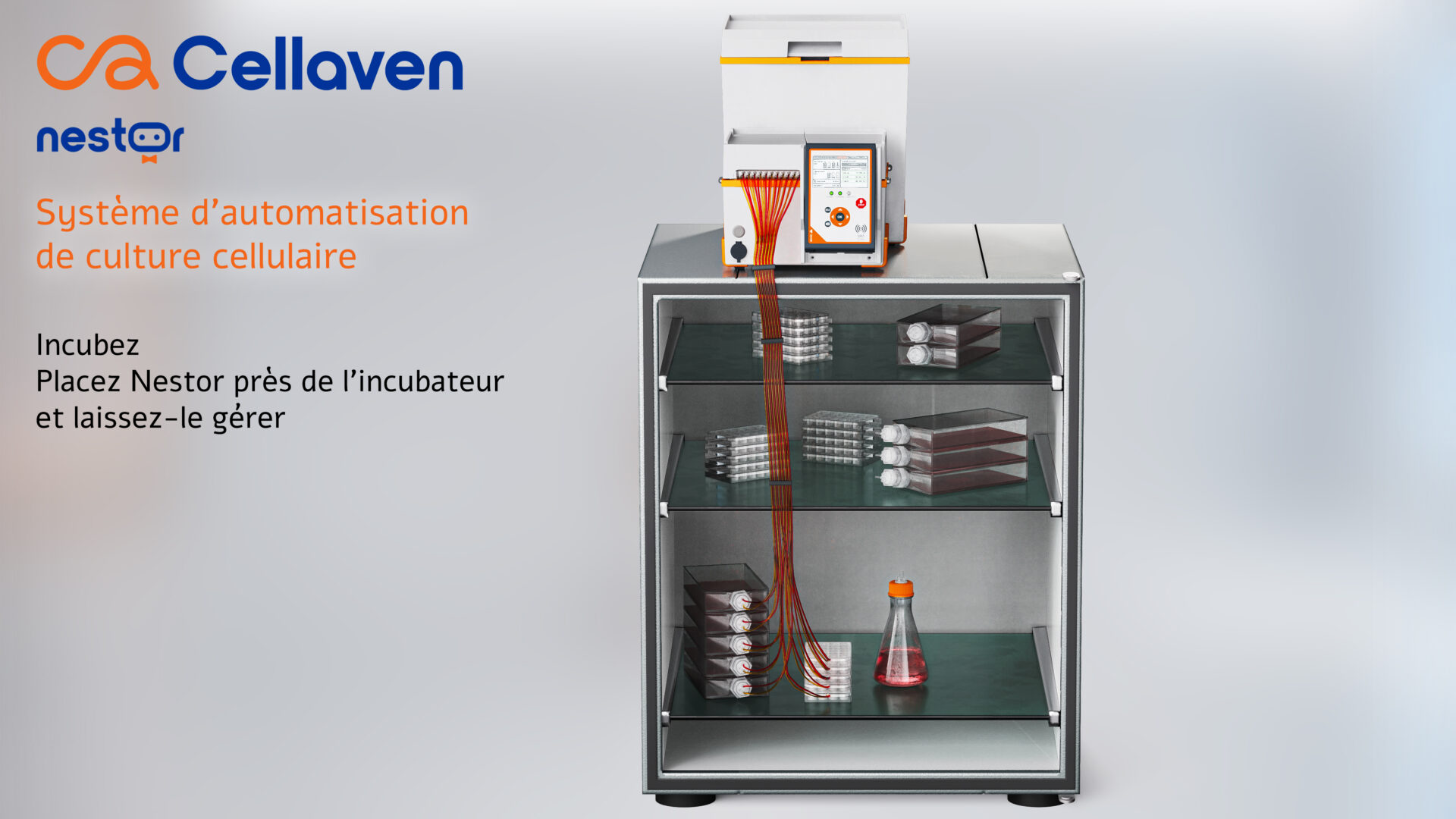 Cellaven_NestorIncubateur